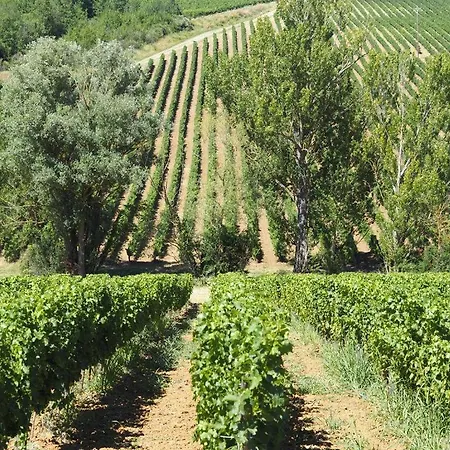 De Doat, De Charme 4 étoiles Dans Le Triangle D Or Proche Gaillac Et Albi Сasa de vacaciones