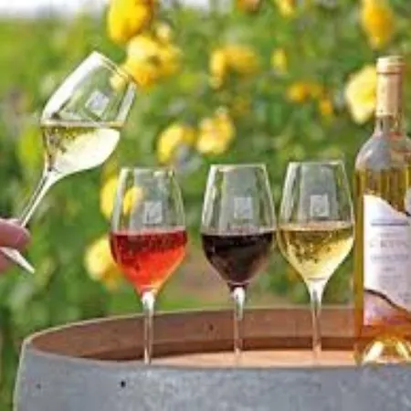 De Doat, De Charme 4 Etoiles Dans Le Triangle D Or Proche Gaillac Et Albi Дом отдыха *