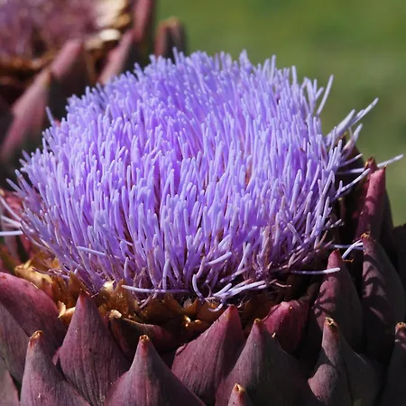 De Doat, De Charme 4 Etoiles Dans Le Triangle D Or Proche Gaillac Et Albi Дом отдыха *