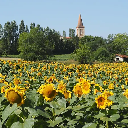 De Doat, De Charme 4 Etoiles Dans Le Triangle D Or Proche Gaillac Et Albi *