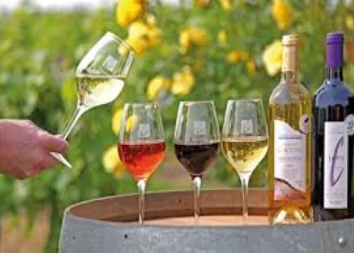 De Doat, De Charme 4 Etoiles Dans Le Triangle D Or Proche Gaillac Et Albi 度假居 *