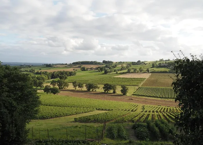 De Doat, De Charme 4 Etoiles Dans Le Triangle D Or Proche Gaillac Et Albi *