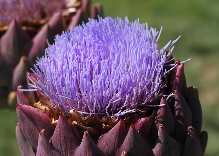 De Doat, De Charme 4 Etoiles Dans Le Triangle D Or Proche Gaillac Et Albi 度假居 *