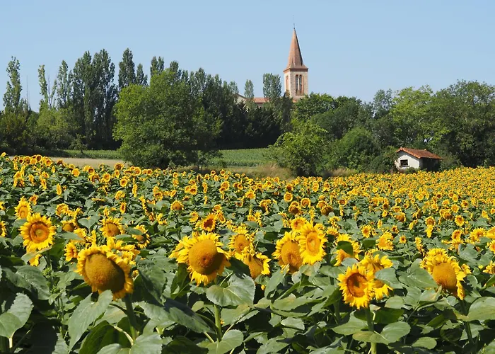 De Doat, De Charme 4 Etoiles Dans Le Triangle D Or Proche Gaillac Et Albi *